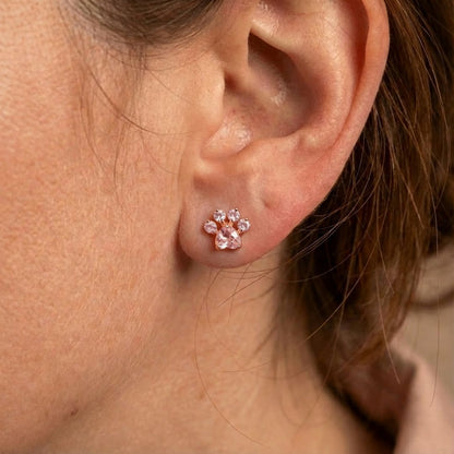 Radiant Pets Earrings
