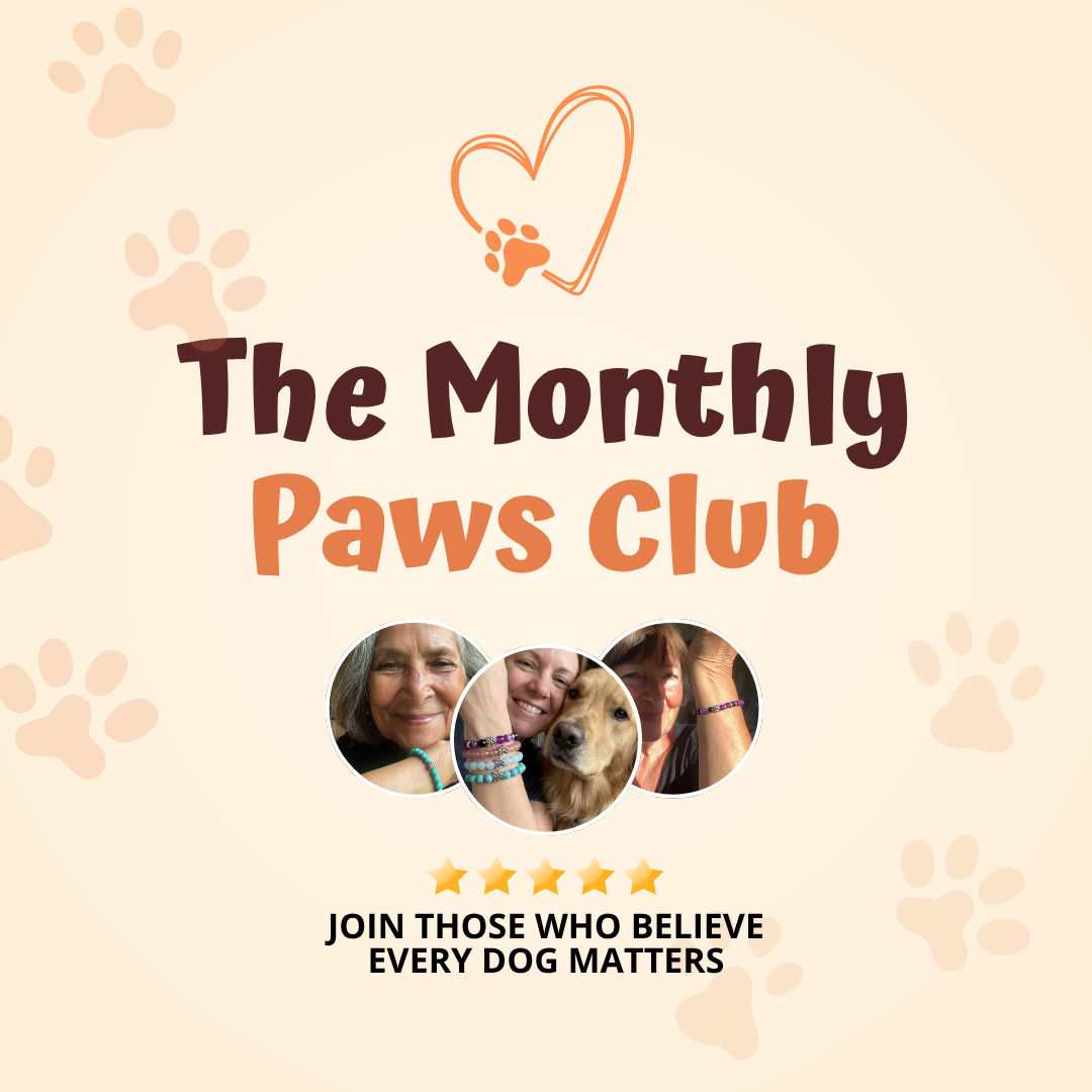 The Monthly Pets Club