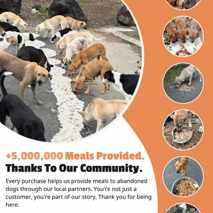 Canopy Bracelet