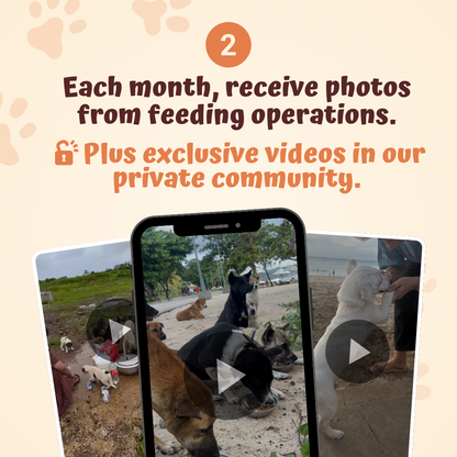 The Monthly Pets Club