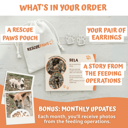 Angel Pets Earrings